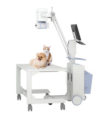 如何选择宠物dr？你们主要看哪几点