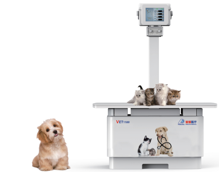 宠物DR优势是什么？哪个品牌好？