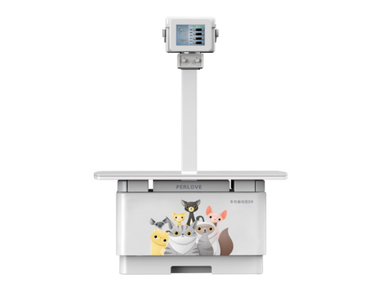 影响宠物DR影像质量的动物和人为因素有哪些？