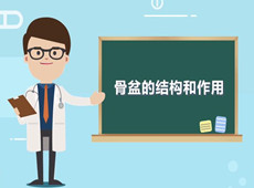 【医疗科普】：你知道骨盆在人体中有什么作用吗？