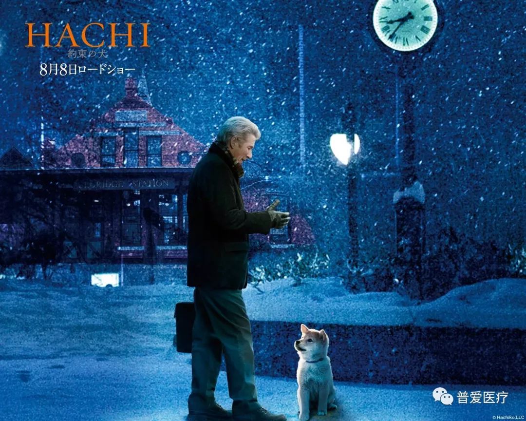 以仁医之心关爱宠物健康 以仁医之心关爱宠物健康