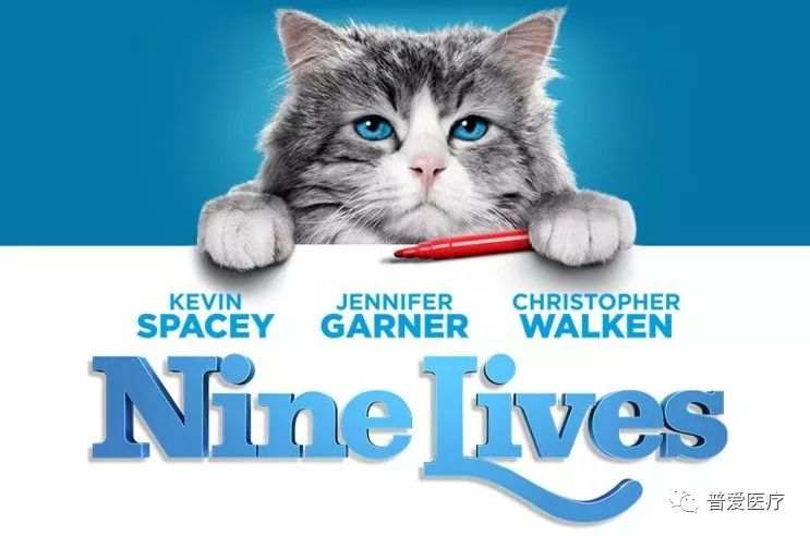 以仁医之心关爱宠物健康 以仁医之心关爱宠物健康