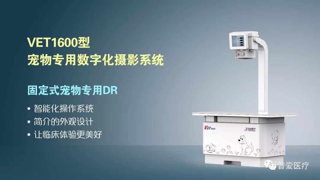 以仁医之心关爱宠物健康 以仁医之心关爱宠物健康