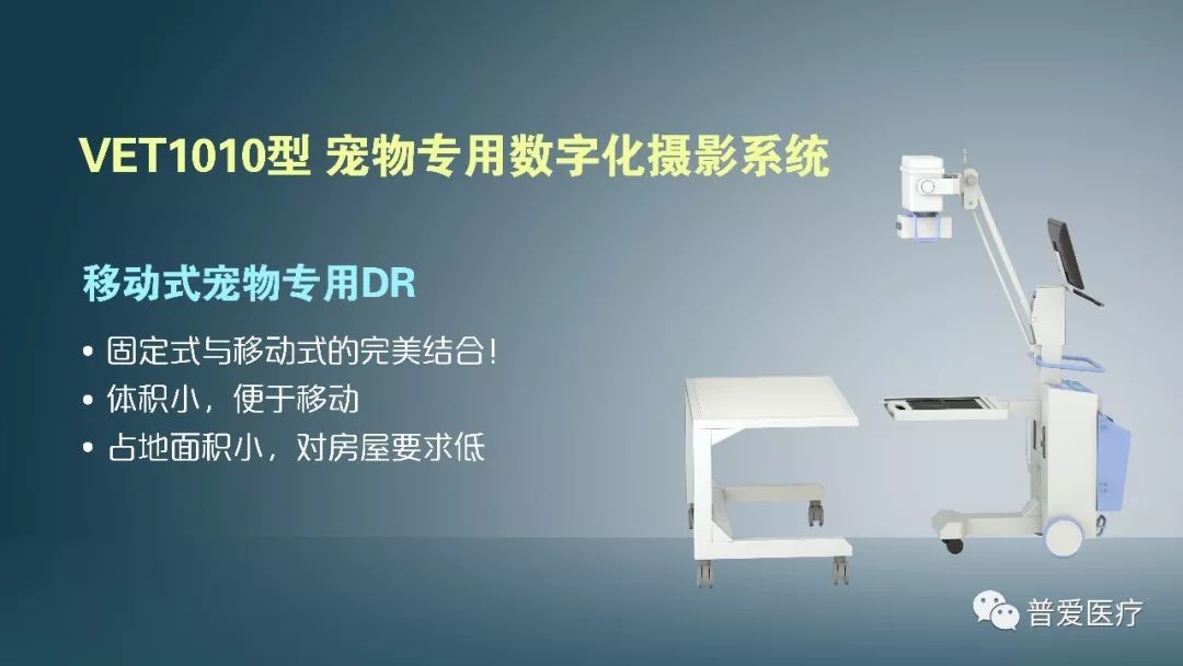 以仁医之心关爱宠物健康 以仁医之心关爱宠物健康