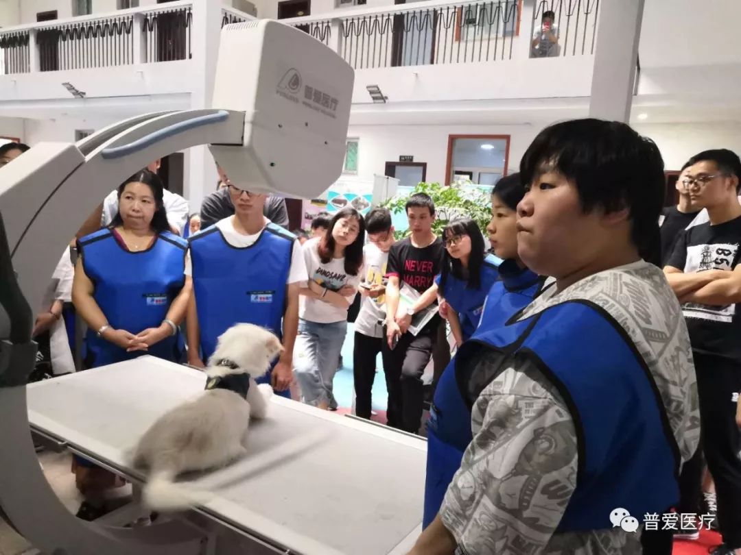 以仁医之心关爱宠物健康 以仁医之心关爱宠物健康