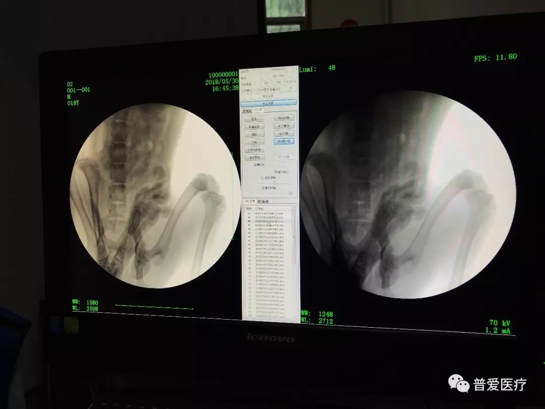 以仁医之心关爱宠物健康 以仁医之心关爱宠物健康