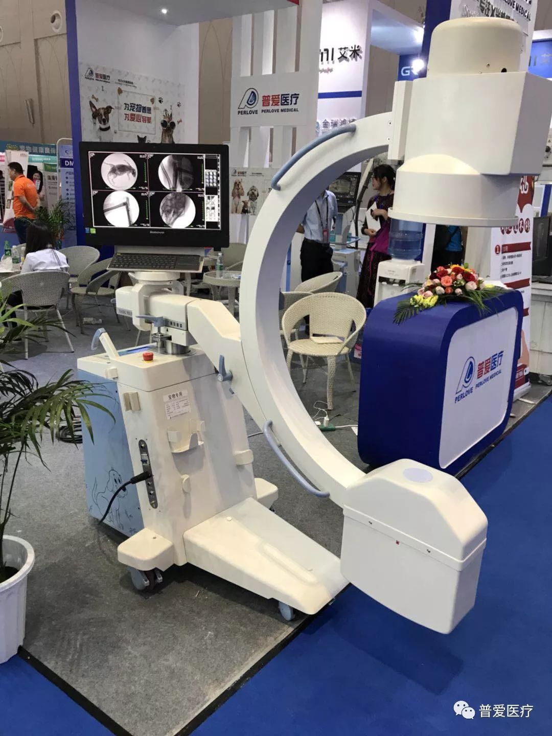 以仁医之心关爱宠物健康 以仁医之心关爱宠物健康