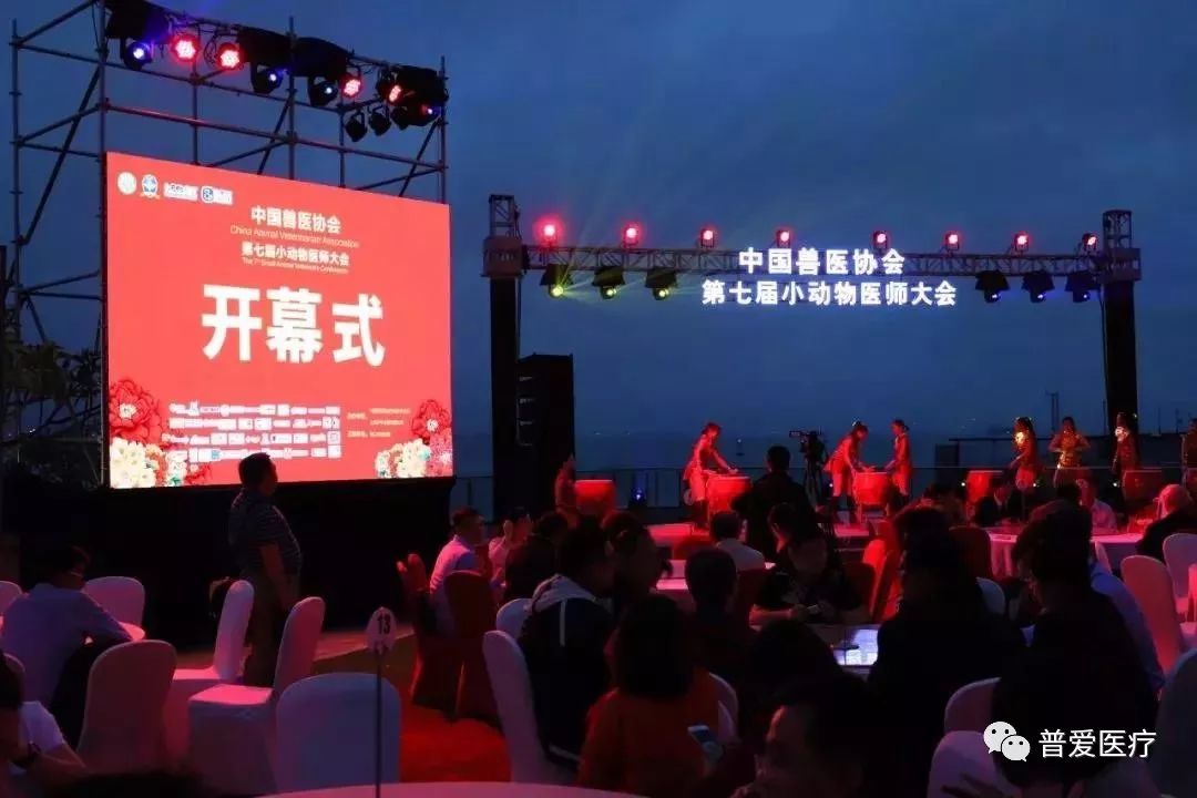 以仁医之心关爱宠物健康 以仁医之心关爱宠物健康