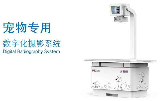 宠物数字DR 宠物数字DR